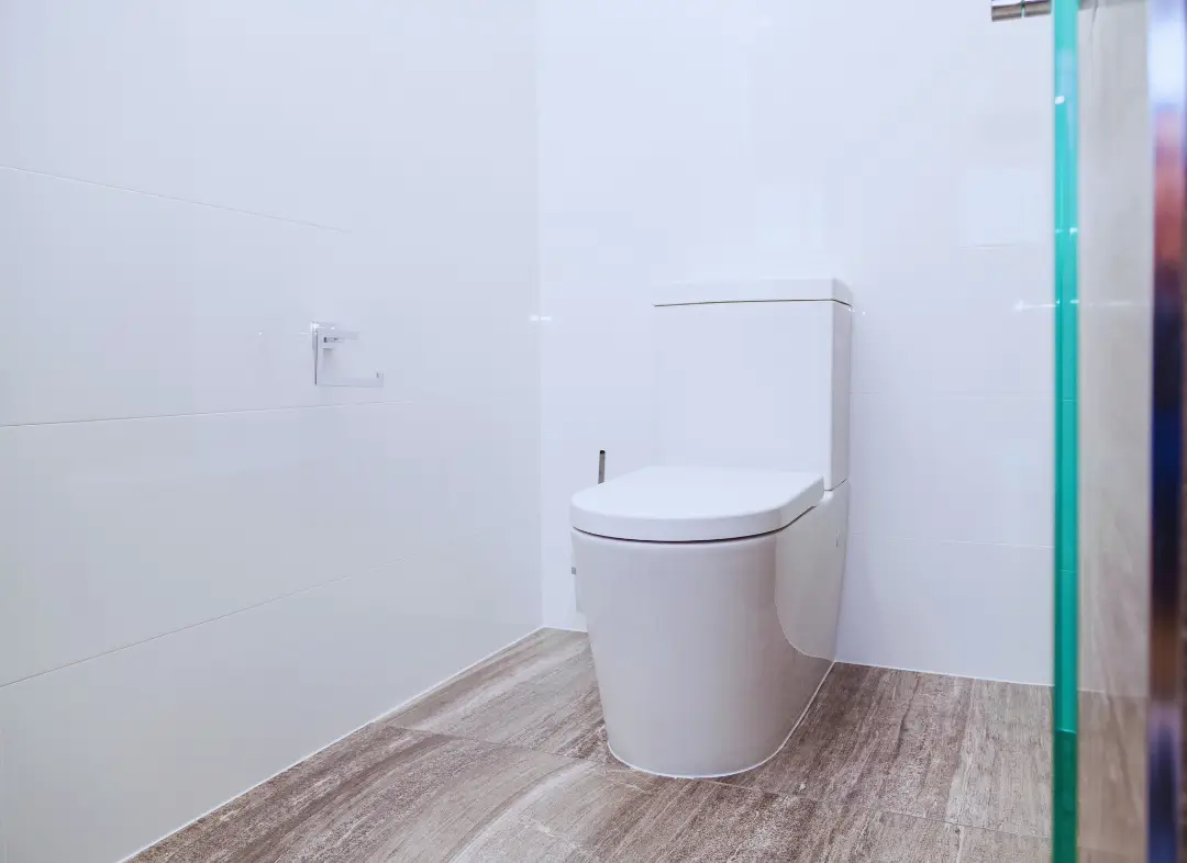 Remplacement de wc La Grand-Combe